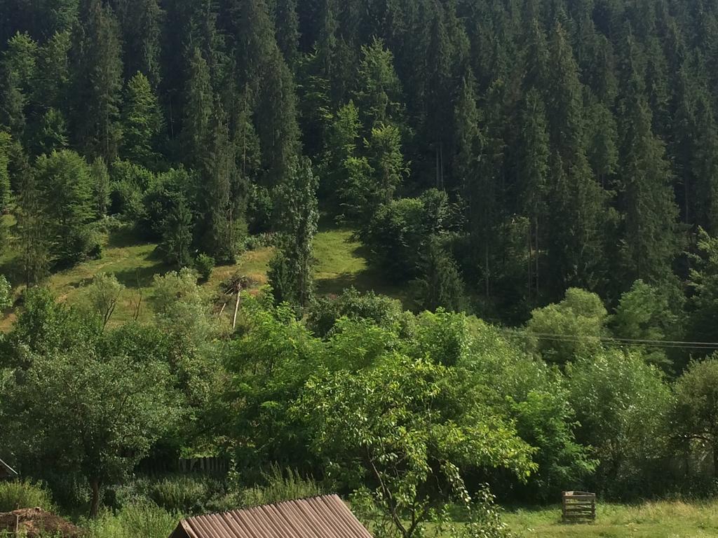 Casa De Vacanta Joldes Ξενοδοχείο Gîrda de Sus Δωμάτιο φωτογραφία